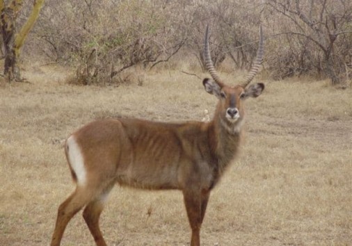 Olympus Digital Camera