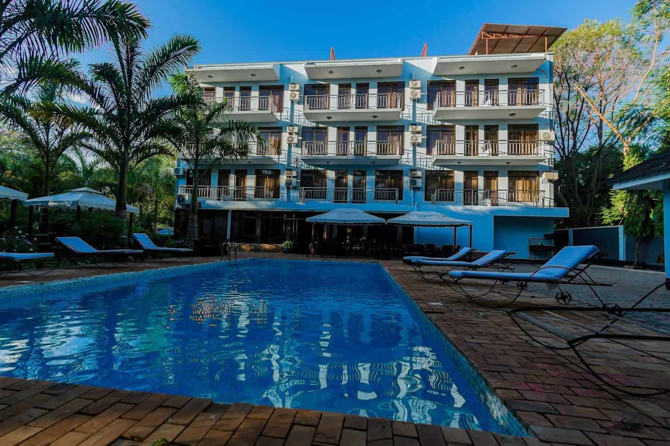 Panama Safari Deal 1