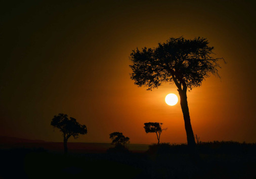Sunset Serengeti