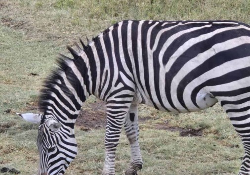 Whatsapp Image 2025 03 12 At 13.51.51