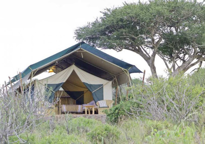 4-Day Kenya Safari in Luxury Tented Camp