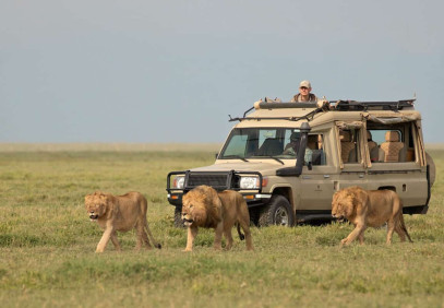 7 Days Luxury Safari Retreat