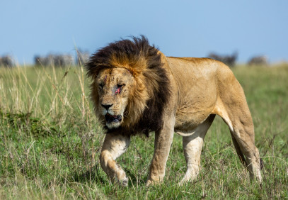 3-Day Highlights of Mount Kilimanjaro