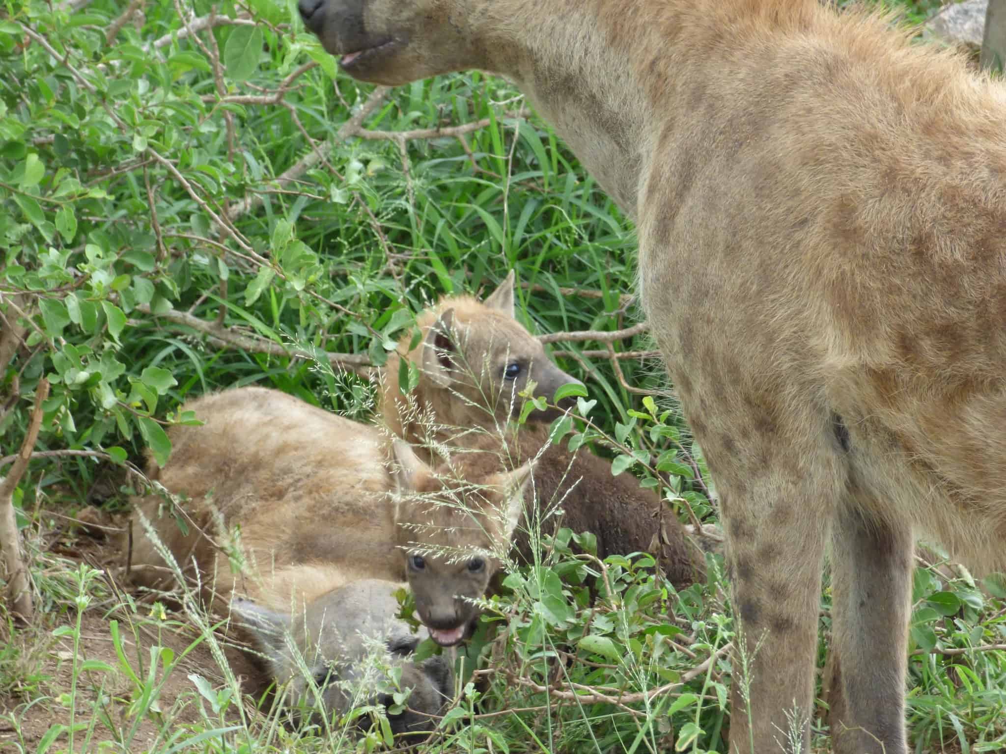 472700682 10162966441080407 436026355335498963 N