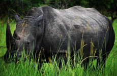 10 Days Kidepo and Murchison National Parks Eastern Route