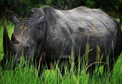 10 Days Kidepo and Murchison National Parks Eastern Route