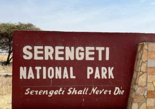 Whatsapp Image 2025 03 12 At 03.51.51 E921dcd0