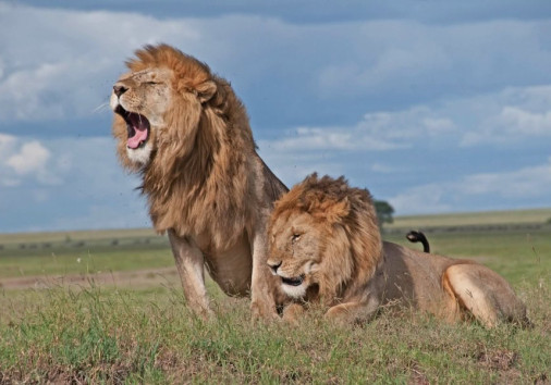 Whatsapp Image 2025 04 03 At 5.11.36 Am