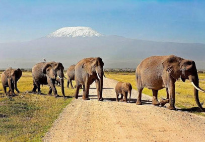 7-Day Masai Mara, Nakuru, Naivasha & Amboseli