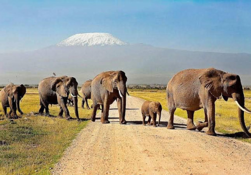 Whatsapp Image 2025 04 03 At 6.02.40 Am