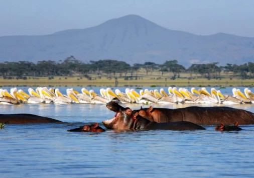 Whatsapp Image 2025 04 03 At 6.40.14 Am