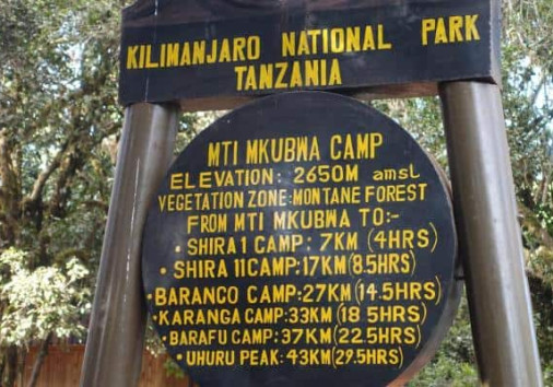 Mti Mkubwa Camp