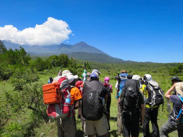 8 Days Mount Kilimanjaro Northern Circuit