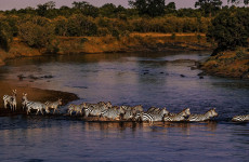 4-Day Naivasha & Maasai Mara Safari