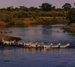 4-Day Naivasha & Maasai Mara Safari