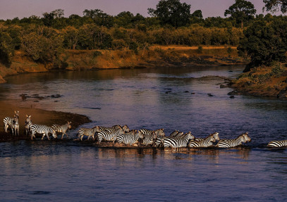 4-Day Naivasha & Maasai Mara Safari