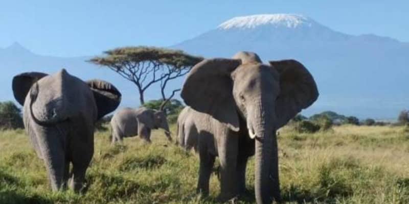 10 Days Kenya Luxury 5
