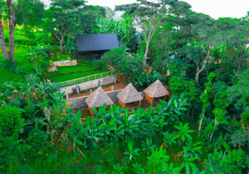 Environment