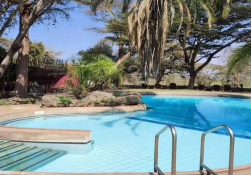 Amboseli Serena Pool