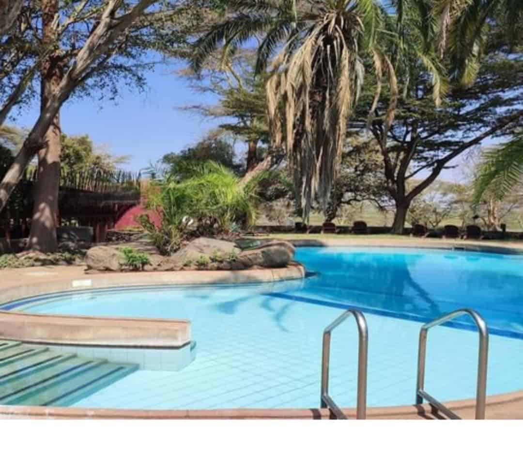 Amboseli Serena Pool