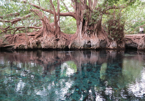 Kikuletwa Hot Springs, also known as Maji Moto