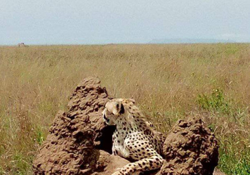 Serengeti National Park