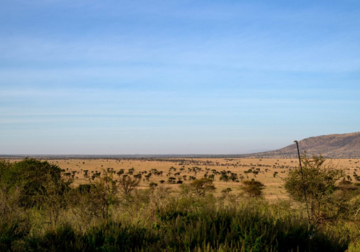 Nyikani View