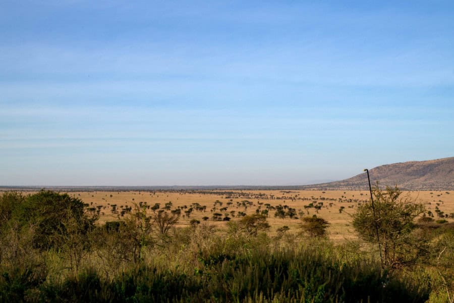 Nyikani View