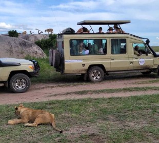 5-Day Exclusive Private Safari Adventure
