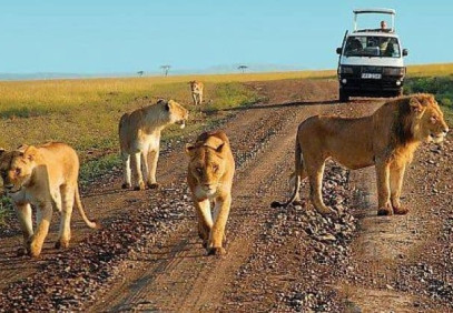 10 Days Uganda Safari