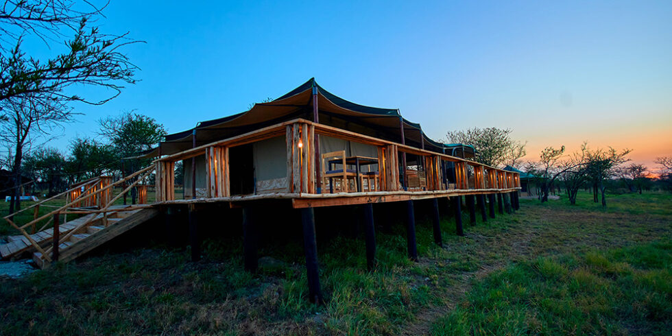 Moyo About 3 980x490