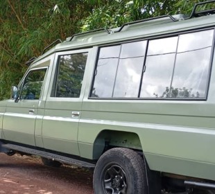 7-Day Big Five Safari Adventure: Wild Tanzania