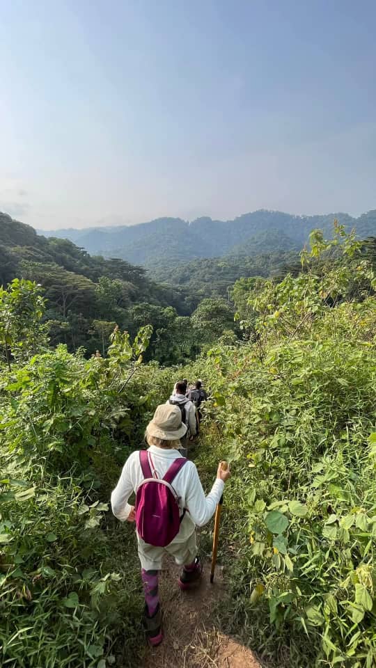 Hiking Bwinid For Gorillas