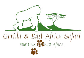 Gorilla and East Africa Safari