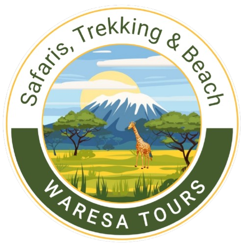 Waresa Tours