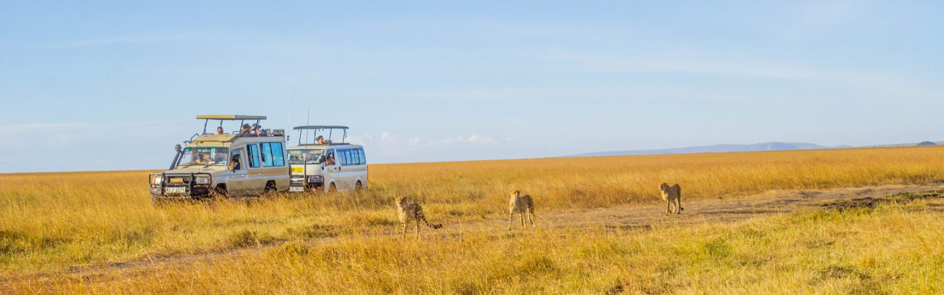 Hikers Afrique