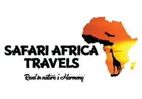 Safari Africa Travels