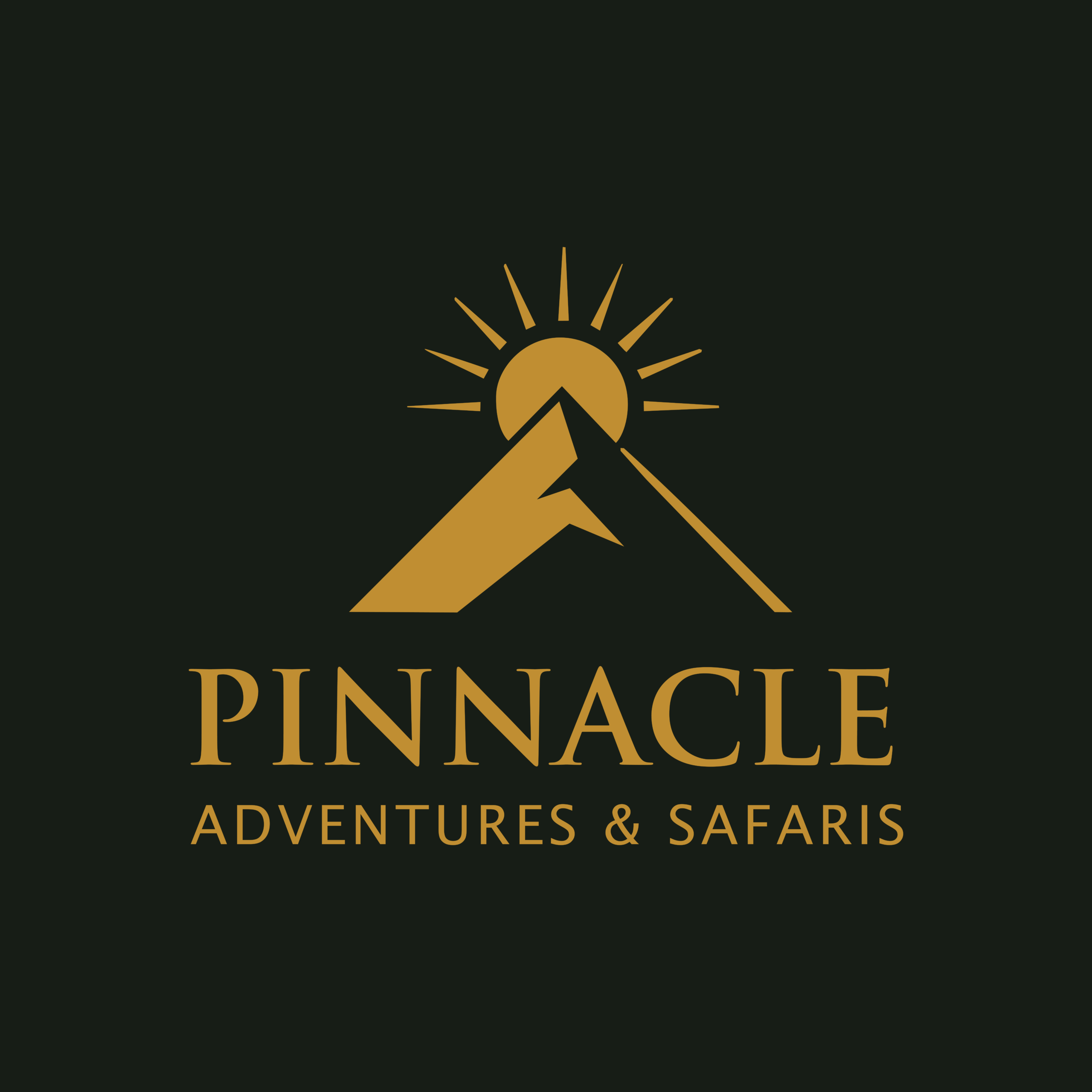 Pinnacle Adventures and Safaris