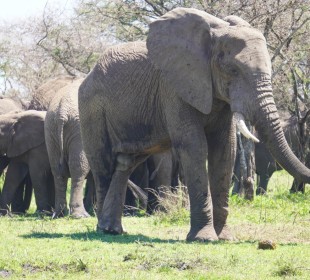 4-Day Northern Circuit Explorer