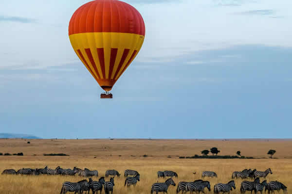 Balloon Flying Safari 2