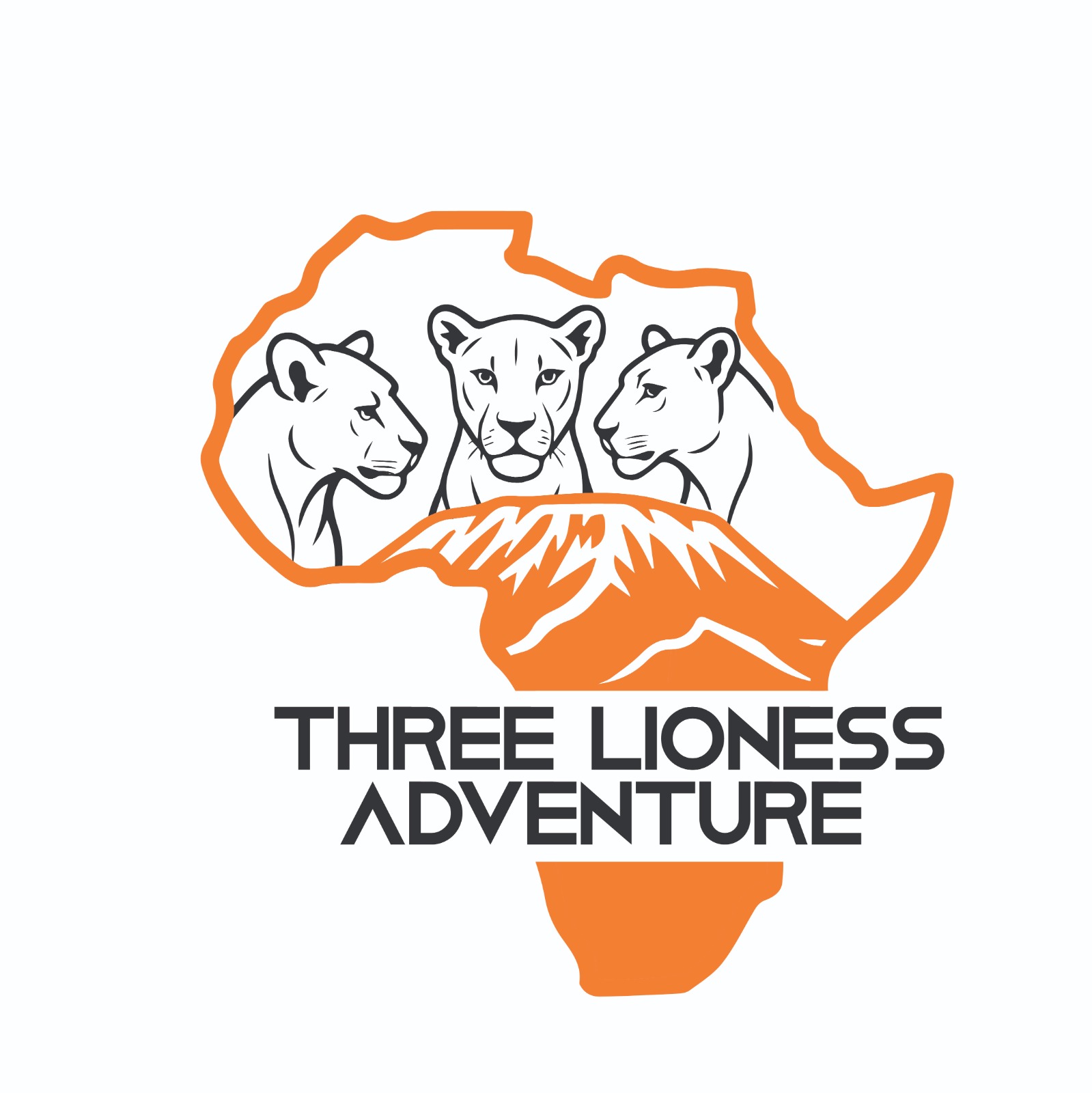 Three Lioness Tours and Adventures
