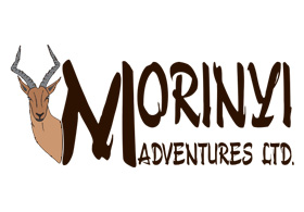 Morinyi Adventures