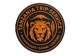 Tanzania Trip Service