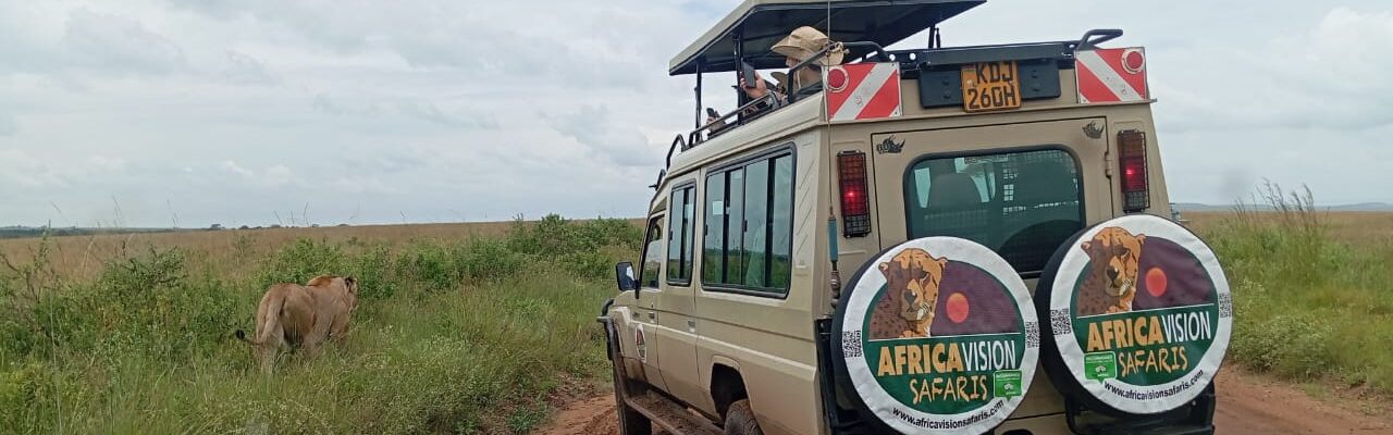 Africa Vision Jeep