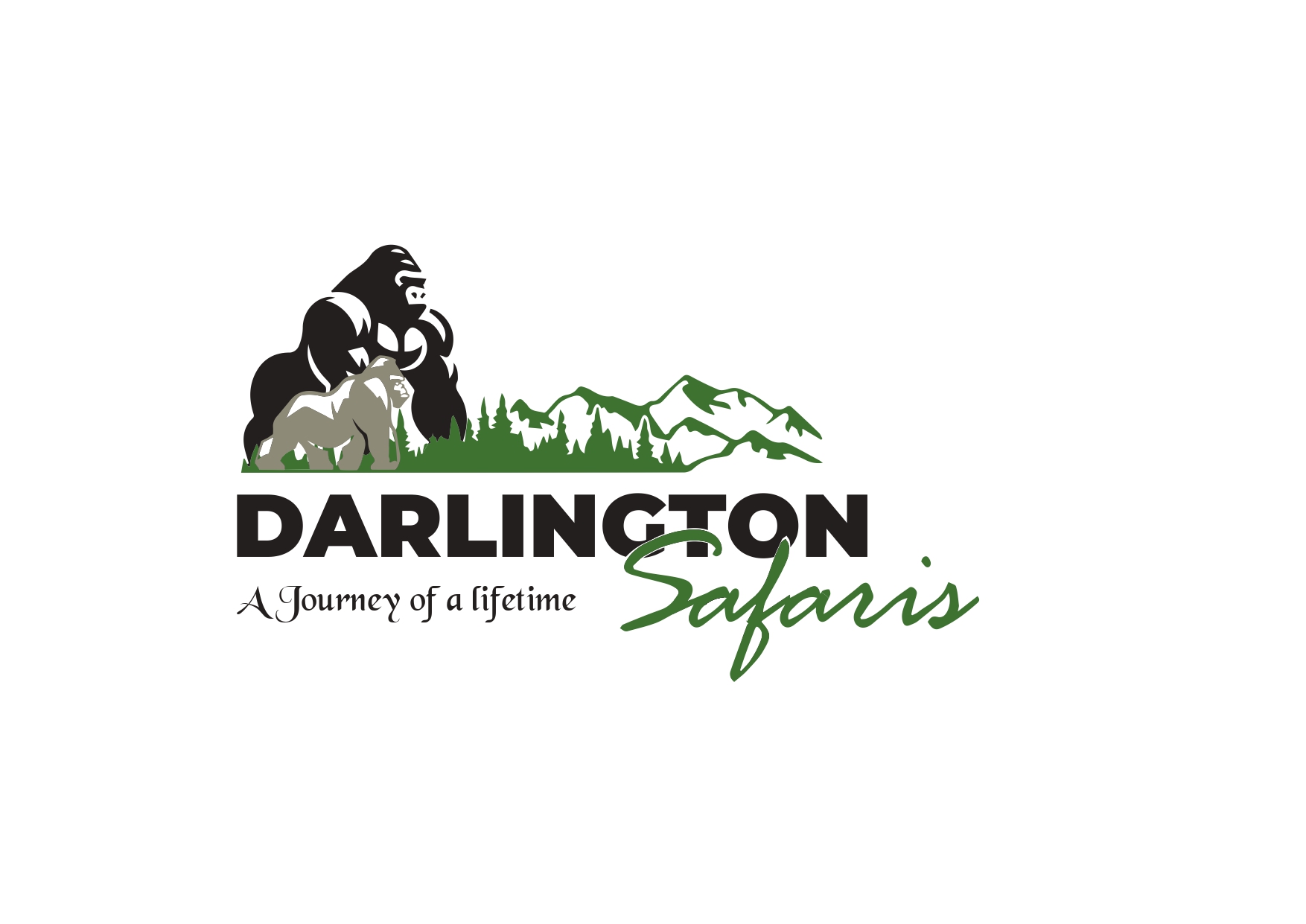 Darlington Safaris