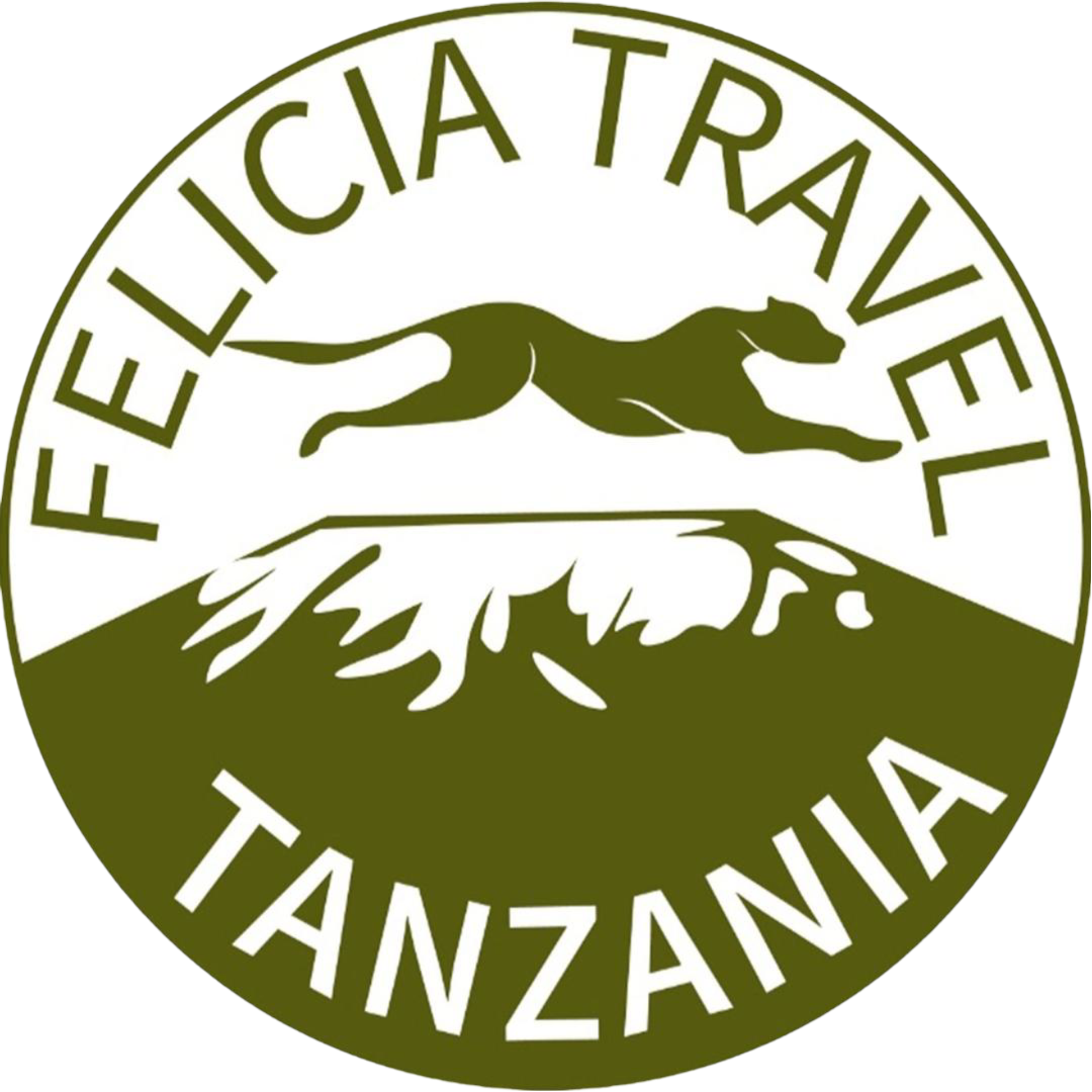 Felicia Travel