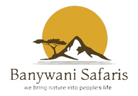 Banywani Safaris