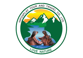 Hiposplay Tours and Travel