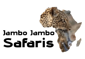 Jambo Jambo Safaris