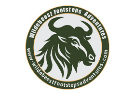 Wildebeest Footsteps Adventures